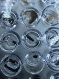 Voucher-Linked Specimen Barcoding